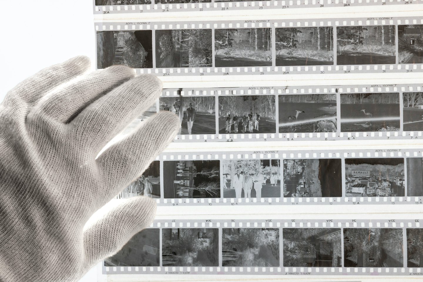 Gloved hand holding vintage film negatives against white background.