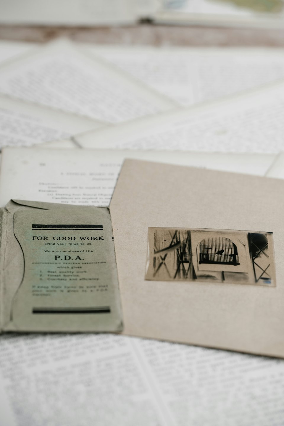 Vintage paper documents and a small bird photograph on a table.